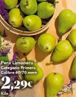 Gadis Pera Limonera oferta