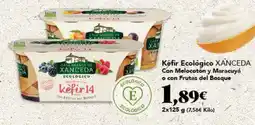 Gadis XANCEDA Kéfir Ecológico Con Melocotón y Maracuyá o con Frutas del Bosque oferta