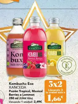 Gadis XANCEDA Kombucha Eco Pasión Tropical, Maxical Berries o Lemmon oferta