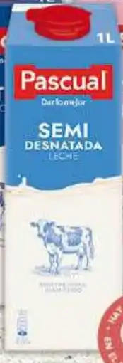 Gadis PASCUAL Leche Semidesnatada oferta
