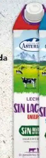 Gadis C.L. ASTURIANA Leche sin Lactosa entera oferta