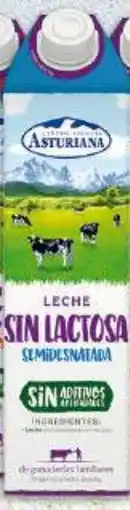 Gadis C.L. ASTURIANA Leche sin Lactosa Semidesnatada oferta