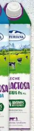 Gadis C.L. ASTURIANA Leche sin Lactosa Desnatada oferta