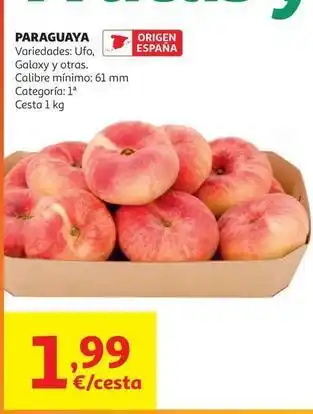 Alcampo Ufo - paraguaya oferta