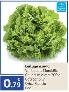 Alcampo Galicia - leitega rizada oferta