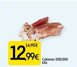 Dialprix Calamar 200/300 oferta
