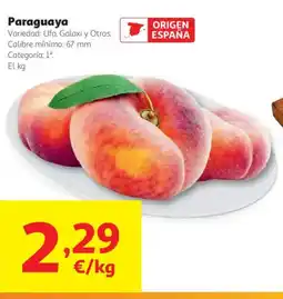Alcampo Paraguaya oferta