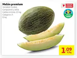 Alcampo Melón premium oferta