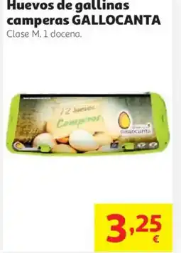 Alcampo GALLOCANTA Huevos de gallinas camperas oferta