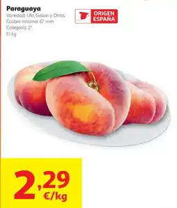 Alcampo Paraguaya oferta