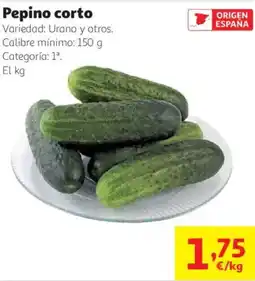 Alcampo Pepino corto oferta