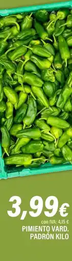 Cash Ifa Pimiento o vardo padrón oferta