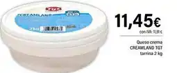 Cash Ifa Tgt - queso crema oferta