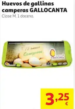 Alcampo GALLOCANTA Huevos de gallinas camperas oferta