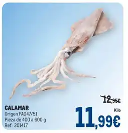 Makro Calamar oferta