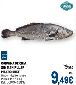 Makro MAKRO CHEF Corvina de cría sin manipular oferta