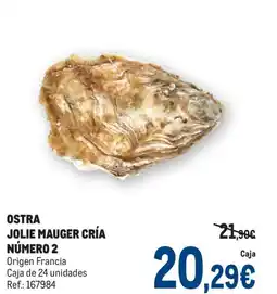 Makro Ostra jolie mauger cría número oferta