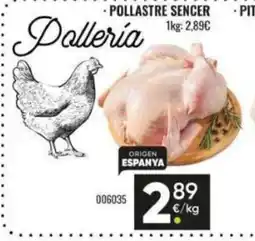 Family Cash Pollastre sencer oferta