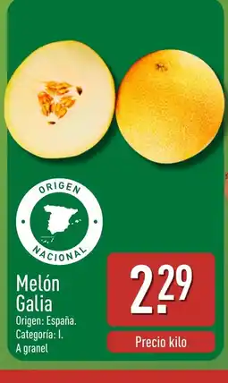 ALDI Melón Galia oferta