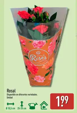 ALDI Rosal oferta