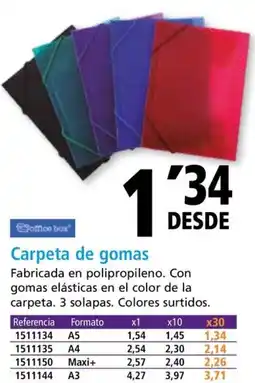 Folder Carpeta de gomas oferta