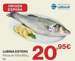 Supercor Origen - lubina estero oferta