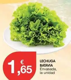 CashDiplo Lechuga batavia oferta