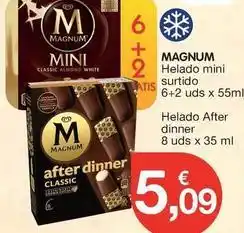 CashDiplo Magnum - helado mini surtido oferta