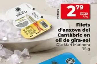 Dia Mari Marinera filets d'anchova del cantàbric en oli de gira-sol