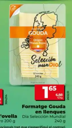 Dia Gouda formatge en llenques oferta