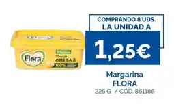 Dialsur Cash & Carry Margarina Flora oferta