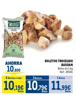 Makro Basoan boletus troceado oferta