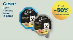 Clarel Cesar perro húmedo oferta