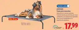 Lidl Zoofari cama para mascotas oferta