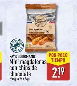 ALDI PAYS GOURMAND Mini magdalenas TIEMPO con chips de chocolate oferta