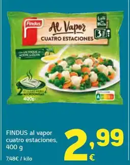 HiperDino FINDUS al vapor cuatro estaciones oferta