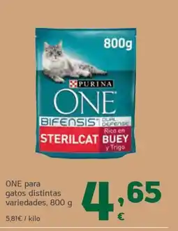 HiperDino ONE para gatos distintas variedades oferta