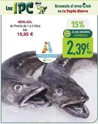 Wow - merluza