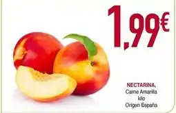 Masymas Origen - nectarina oferta
