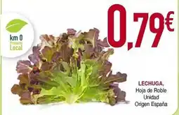 Masymas España - lechuga hoja de roble unidad origen oferta