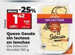 Dia Dia seleccion mundial - queso gouda sin lactosa en lonchas oferta