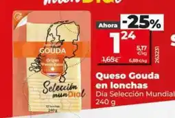 Dia Dia seleccion mundial - queso gouda en lonchas oferta