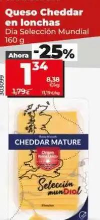 Dia Dia seleccion mundial - queso cheddar en lonchas oferta