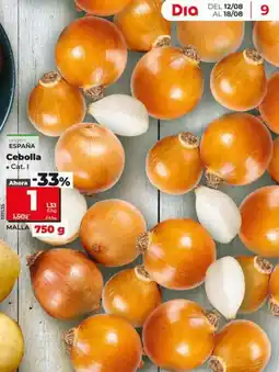 Dia Cebolla oferta