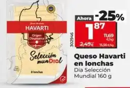 Dia Dia seleccion mundial - queso havarti en lonchas oferta