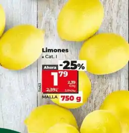 Dia Limones oferta