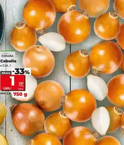 Dia Cebolla oferta
