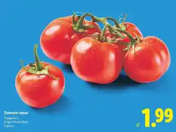 Lidl Tomate rama oferta
