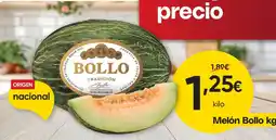 FROIZ Melón Bollo oferta