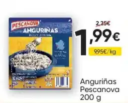 FROIZ Pescanova angurinas oferta